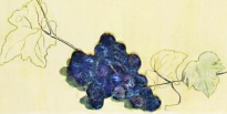 1984 - Grappolo d uva nera